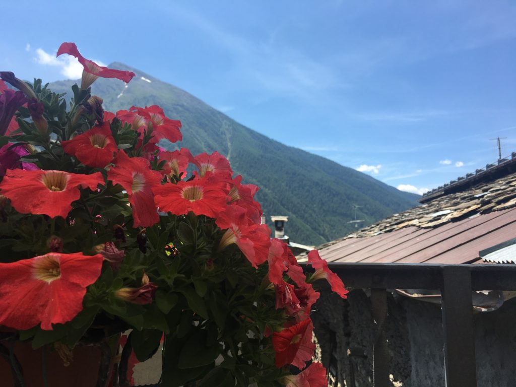 progetti-lamaison