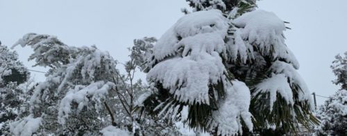 Oro bianco: finalmente la neve!