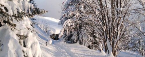 Riassunto di un inverno: che bella la neve!