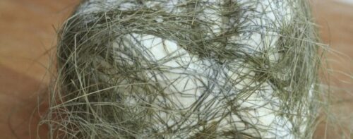 Il Seirass del Fen: la ricotta piemontese per eccellenza